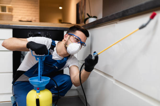 Best Emergency Pest Control  in Mapleton, UT