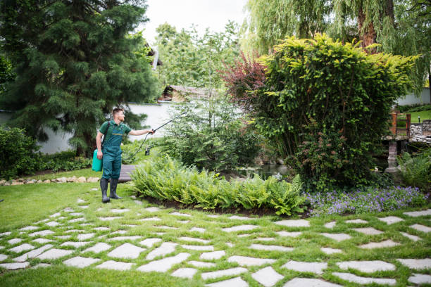 Best Exterminator Services  in Mapleton, UT
