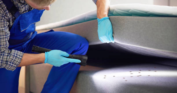 Best Cockroach Control Services  in Mapleton, UT
