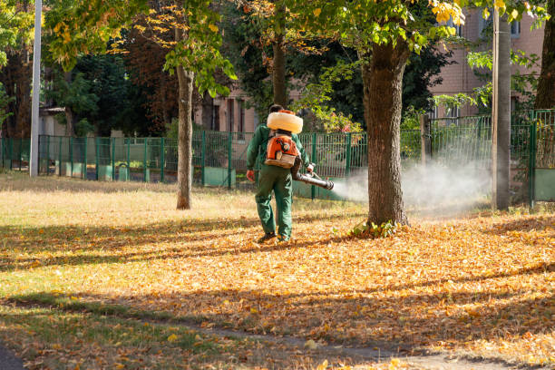 Reliable Mapleton, UT Pest Control Solutions