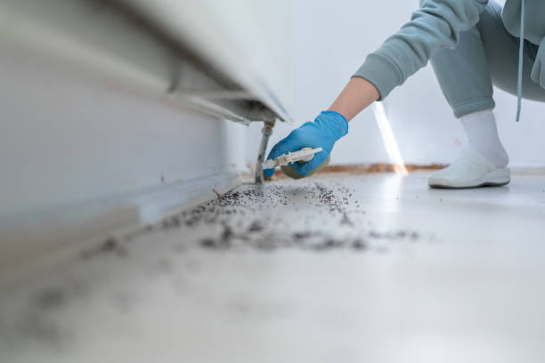 Best Insect Control  in Mapleton, UT